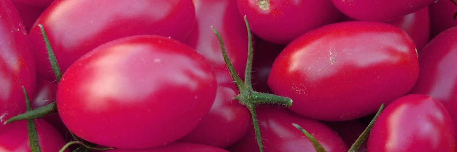 PINK-PLUM-F1--