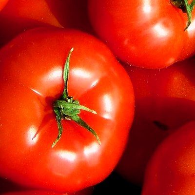 Noma'lum pomidorlar