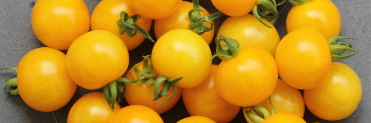 BAMBOLA F1 (Bambola F1)