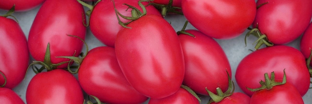 PINK-HORN-F1_