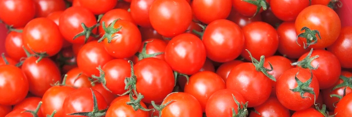 BAMBOLA F1 (Bambola F1)