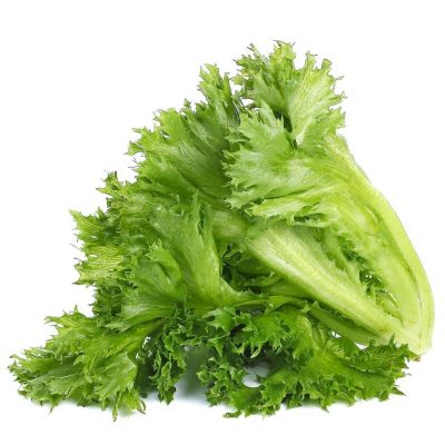 EL LEAF